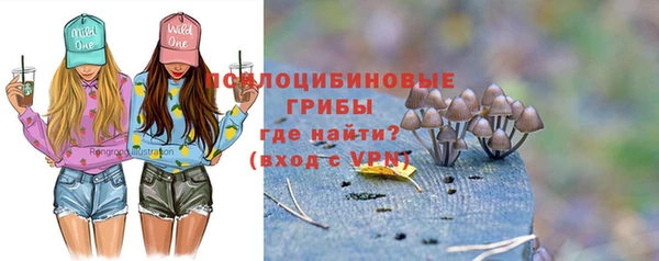 spice Гусиноозёрск