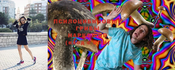 mix Гусь-Хрустальный