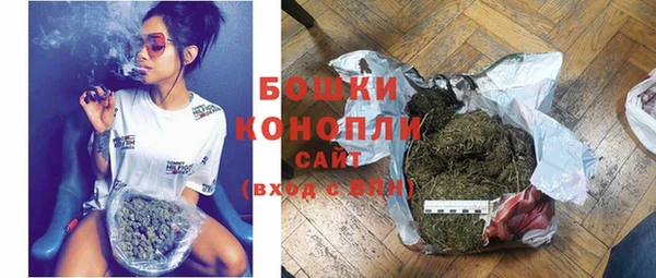 Альфа ПВП Гусев