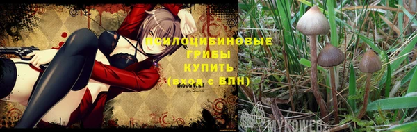 Альфа ПВП Гусев