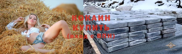 spice Гусиноозёрск