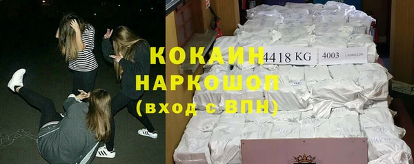 Альфа ПВП Гусев